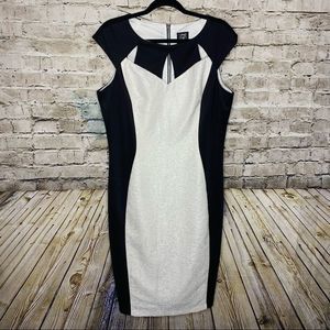 Jax Color Block Form-fitting Dress Size 16